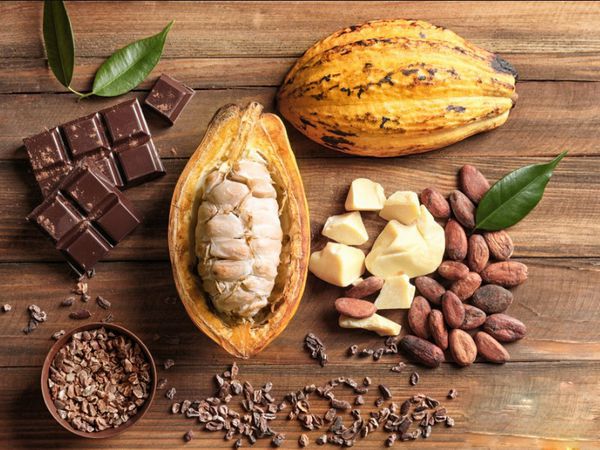 Bơ Cacao