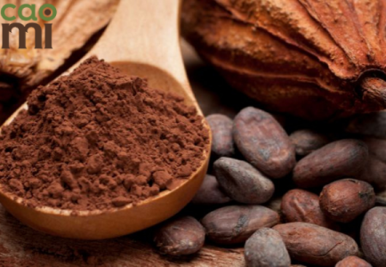 Cách nhận biết bột cacao bị hư hỏng