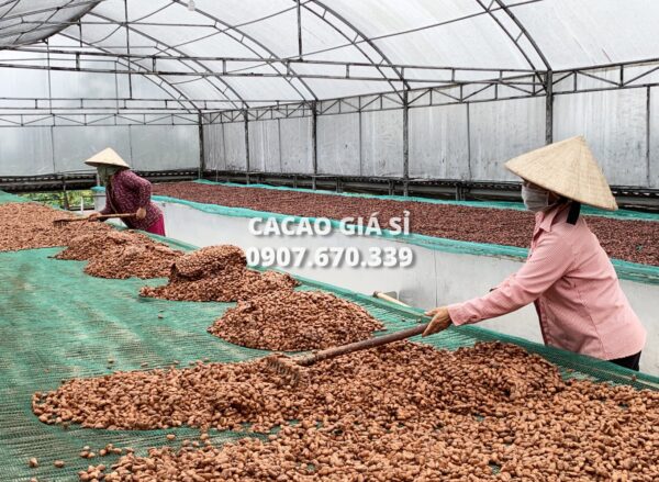 Bột Cacao giá sỉ 3