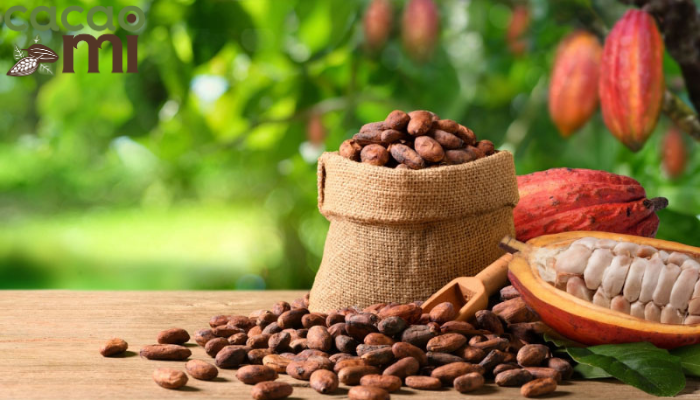 Vì sao nên dùng cacao trong pha chế đồ uống?