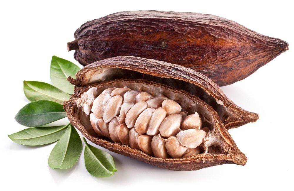 Không phải loại cacao nào cũng chống oxy hóa như nhau