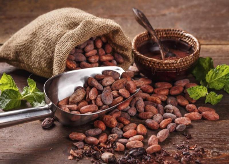 Lợi ích của chất chống oxy hóa trong cacao đã được nghiên cứu trên người
